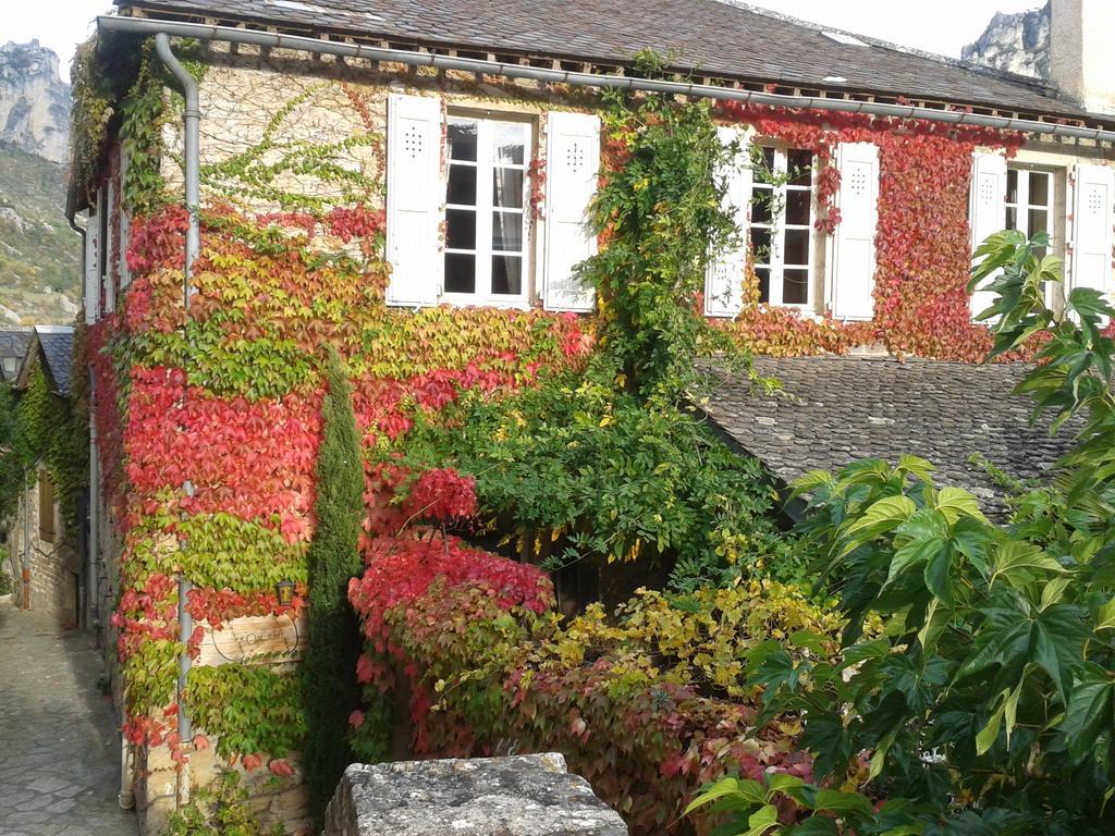 Bed and Breakfast Ermitage de Peyreleau Exterior foto